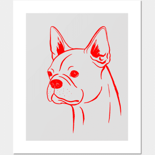 Boston Terrier (Light Gray and Red) Posters and Art